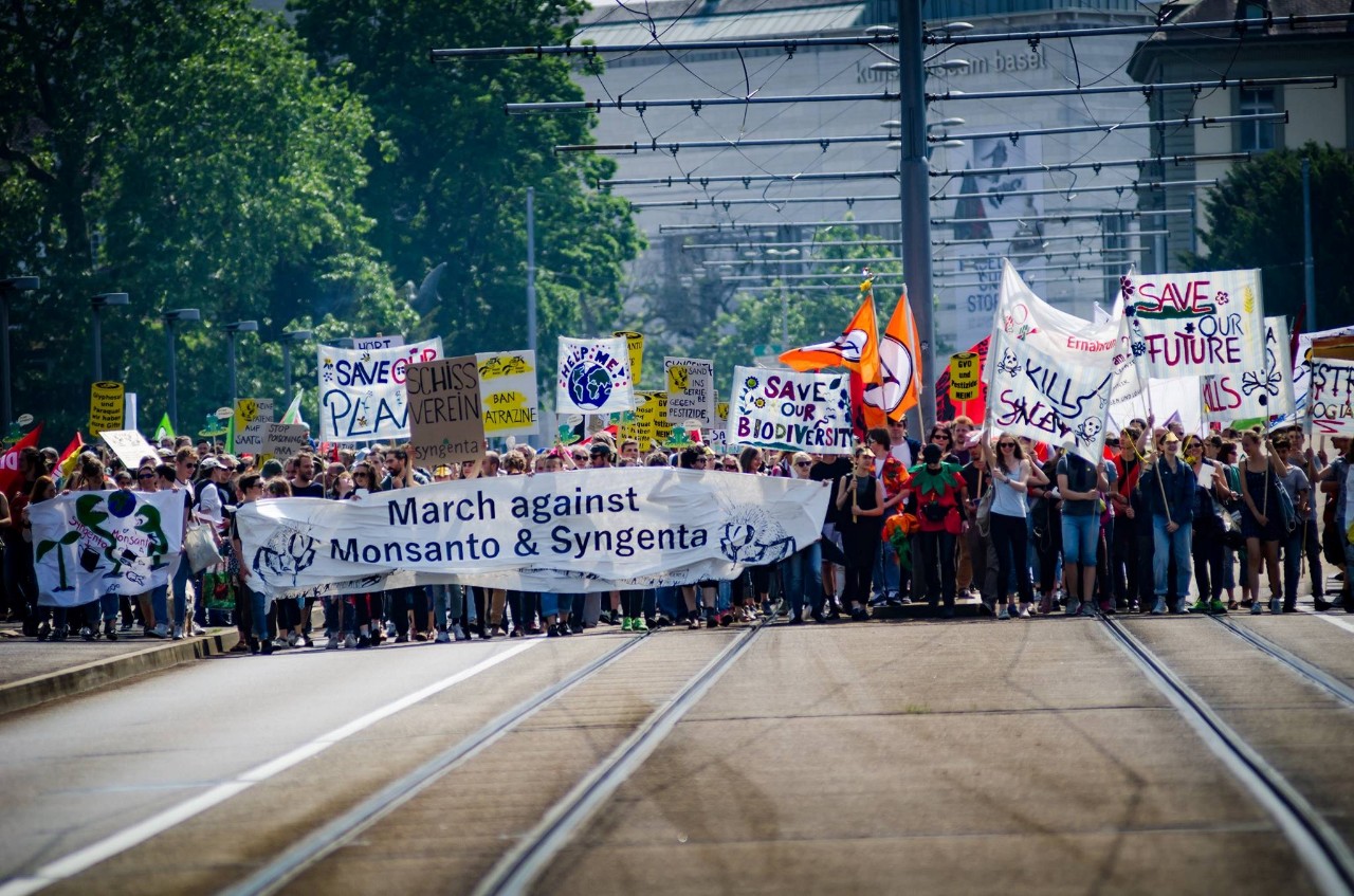 against monsanto)游行都如期进行,抗议美国农业生技公司孟山都在污染